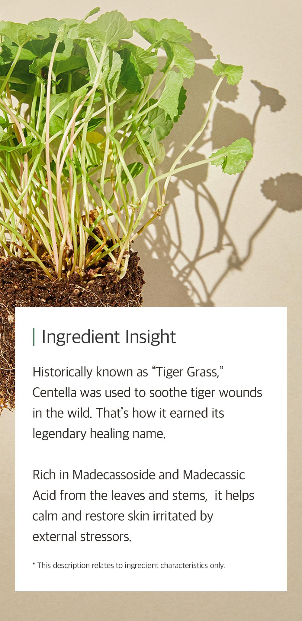 [mixsoon Official Shop] Centella Cleansing Foam Duo (5.07 fl.oz / 150ml x 2) - Low pH cleansing foam for soothing and moisturization, Korean Glass Skin Care