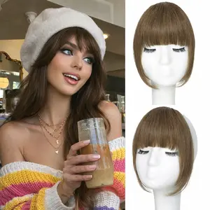 BEFUNNY clip-in Bangs, French Bangs with Temples,100% Human Hair Bangs Natural Invisible Front Hair Clip Hairpiece Suitable for Women Daily Wear Hair Weft Extensions Hairline Topper