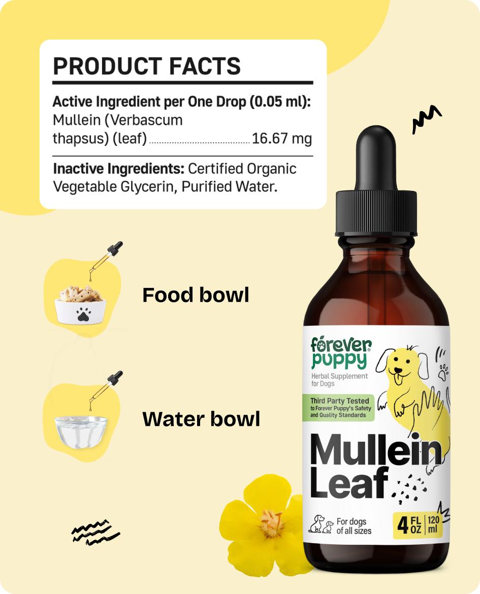 Mullein Leaf Drops for Dogs - Lung Support for Easy Breathing - Mullein Respiratory Supplements - Liquid Dog Vitamins and Supplements - All Breeds & Sizes - Sugar & Alcohol-Free - 4 oz