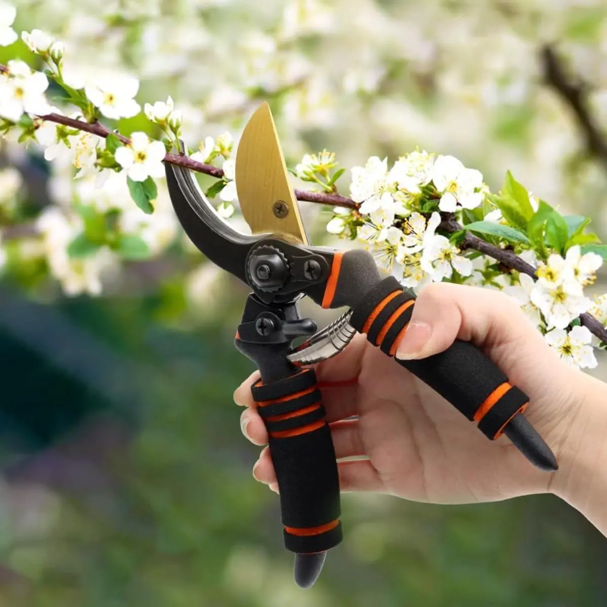 Gardening Tools Pruning Shears Professional Garden Shears Heavy Duty Hedge Shears 8 Inch Hand Clippers Plant Trimming Scissors with Rubberized Handles for Shrub Yard Work Landscaping Limb Branch Cutter Tree Trimmer