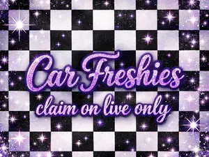 Car Freshie