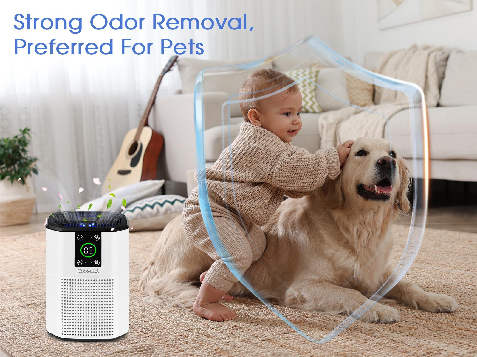Cobectal Air Purifier for Home, Compact Room Cleaner with 3-in-1 Filter Aroma Diffuser & Sleep Mode, Ideal for Bedroom Office Dorm Hotel & RV Cobectal Air Purifier for Home, Compact Room Cleaner with 3-in-1 Filter Aroma Diffuser & Sleep Mode, Ideal for Bedroom Office Dorm Hotel & RV