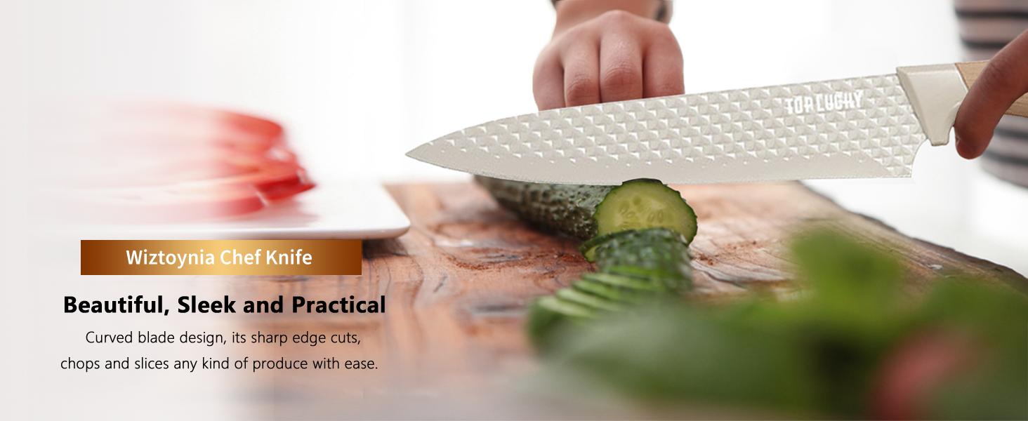 6-Piece Kitchen Knife Set with Block, Stainless Steel Dishwasher Safe - Ergonomic Handle Knives for Meat, Vegetables