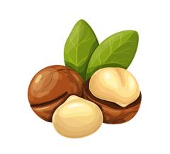 Replenish™ Conditioner – Hydrate & Grow