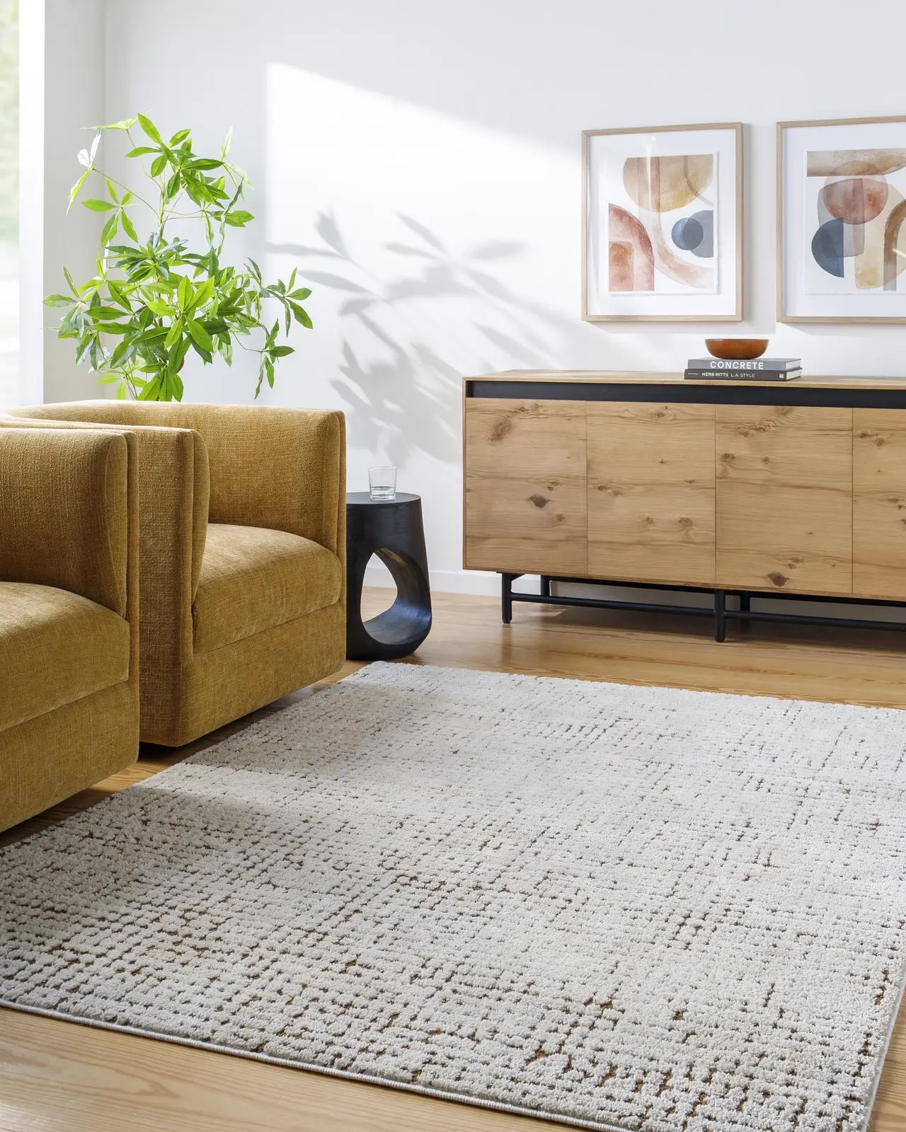 Livabliss PNW Home Collaboration Cascade Modern Area Rug - Stylish Living Room Rug for Home Spaces, Living Room Rugs