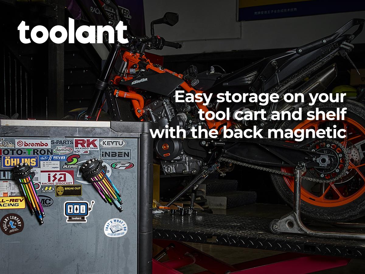 toolant Allen Wrenches Sets 22pcs(Metric&SAE), Extra Long Arm Allen Key Set with Ball End, Unique Patented Design for Magnetizing and Demagnetizing