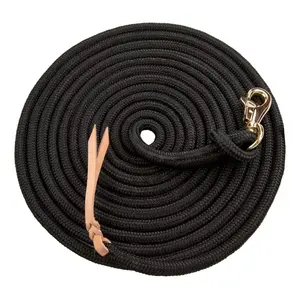 15' Clinician Equine Training Lead