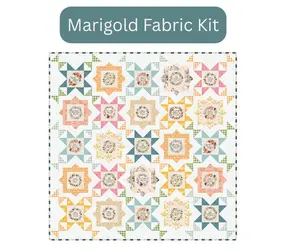 Fussy Frames Bible Verse Quilt Kit