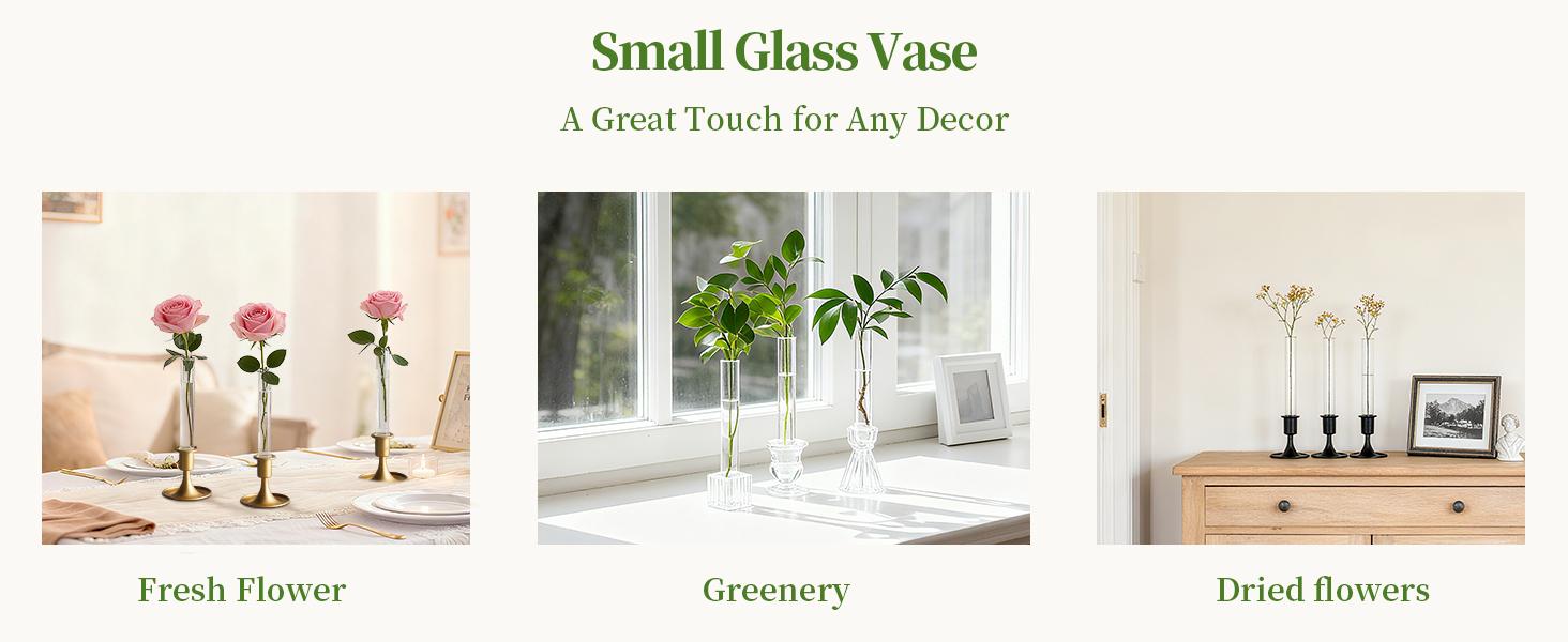 Glass Bud Vase for Flowers: Clear Small Vases for 22mm Candlestick Taper Candle Holders - 5.9" Skinny Table Centerpieces with Silicon Case for Tablescapes, Wedding Gift and Home Decor Glass Bud Vase for Flowers: Clear Small Vases for 22mm Candlestick Taper Candle Holders - 5.9" Skinny Table Centerpieces with Silicon Case for Tablescapes, Wedding Gift and Home Decor