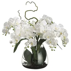 58Pcs White Orchid Seeds Perennial Flower Seeds for Planting Graceful Indoor Outdoor Blooms Ideal for Pots Containers Rock Gardens Decorative Landscaping