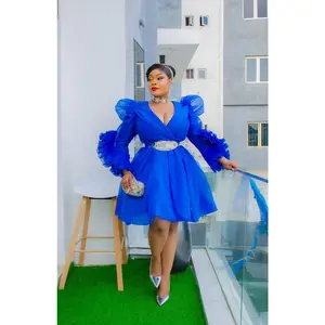 Blue Ruffle Sleeve Fit & Flare Skater Dress for Birthday Dinner Bridal Photoshoot Wedding Guest Engagement Ceremony