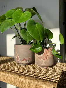 Chocolate Swirl Ceramic Plant Pots