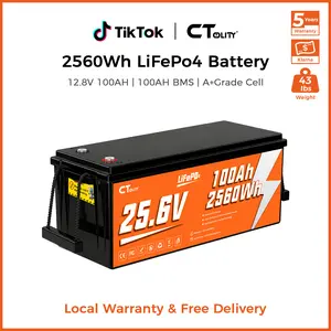 CTOLITY CT100-25 25.6V 100Ah 2560Wh LiFePO4 Battery Built-in 100A BMS A Grade Cells Max 2560W 4000+ Cycle Solar Generater Systerm RV