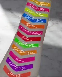 12 Color Neon pigment bundle