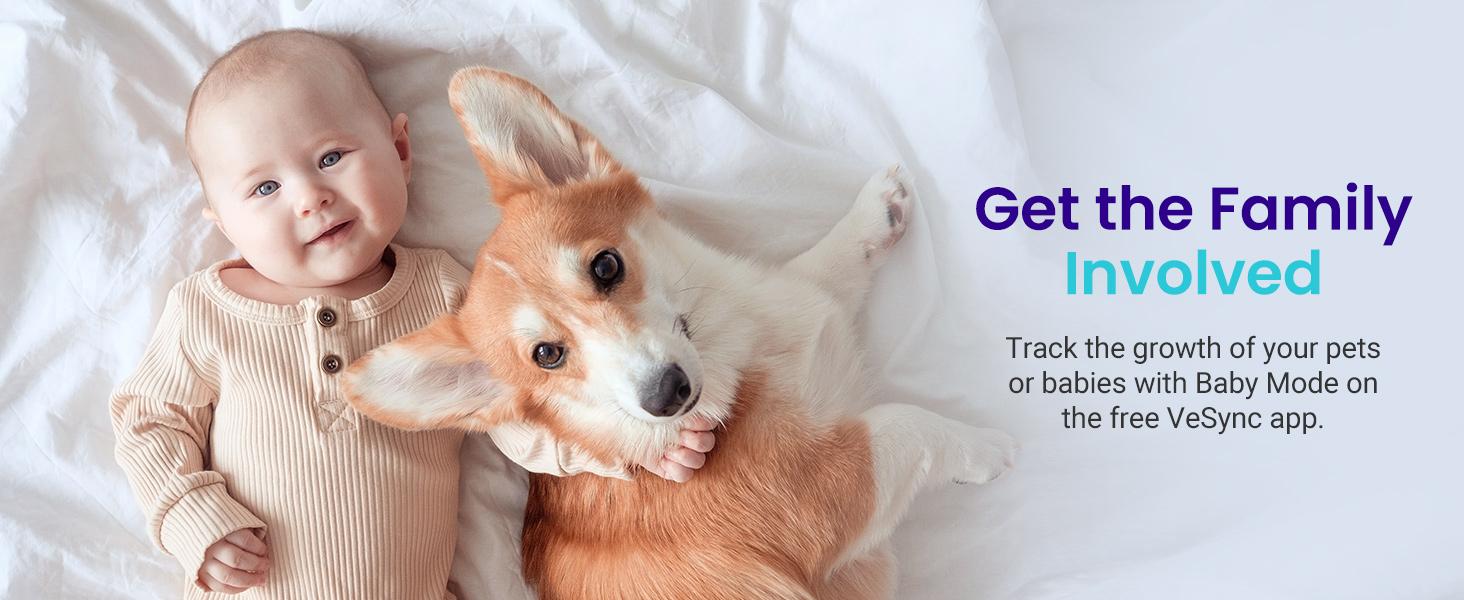 Etekcity Scale for Body Weight and Fat Percentage, Smart Digital LED Bathroom BMI Measurement, Accurate Bluetooth, 400lb Healthcare Weight Scale, Fit 8s Etekcity Scale for Body Weight and Fat Percentage, Smart Digital LED Bathroom BMI Measurement, Accurate Bluetooth, 400lb Healthcare Weight Scale, Fit 8s