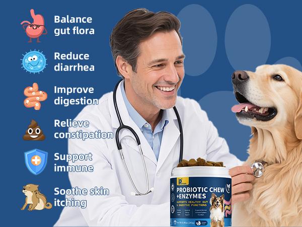 2Pack-Probiotics for Dogs - Dogs Probiotics Chews with Enzymes & Fiber Blend Supports Gut Health, Boost Immune - Natural Probiotic Supplement for Digestive, Diarrhea, Gas, Constipation, Itchy Skin,120Ct