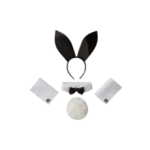 Playboy Accessories Kit