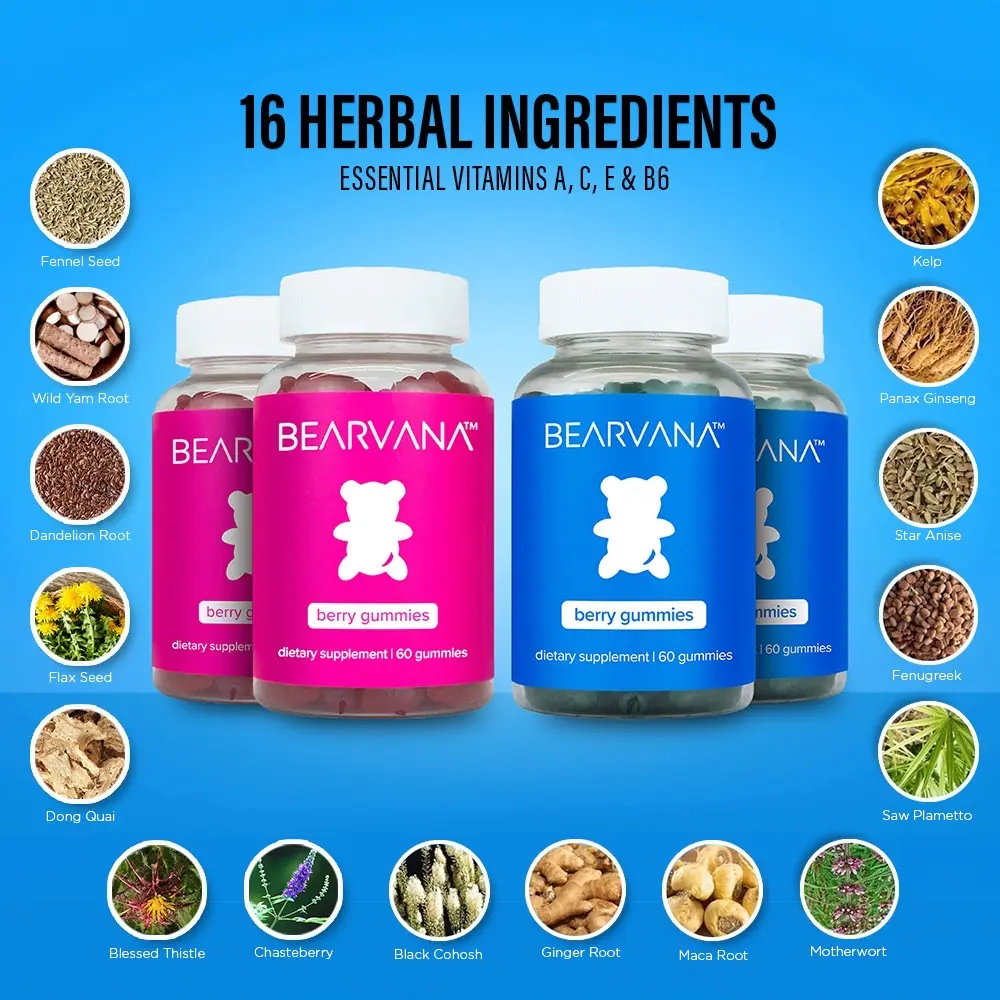 BEARVANA All-In-One Women's Wellness Gummies Double Combo Pack | 16 Herbal Ingredients + Vitamins A, C, E & B6 | The Daily Gummies Worth the Hype |  Berry Flavor | Four-Bottle Value Pack | 240 Gummies