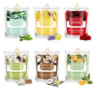 6 Pack Scented Candle Gift Set for Women, 21 oz Total, Up to 120 Hours Burn Time, 6 Scents, Eucalyptus Mint, Lemon Lavender, Rose, Jasmine Sandalwood, Vanilla Coconut, Sage Citrus, Mother's Day Gift