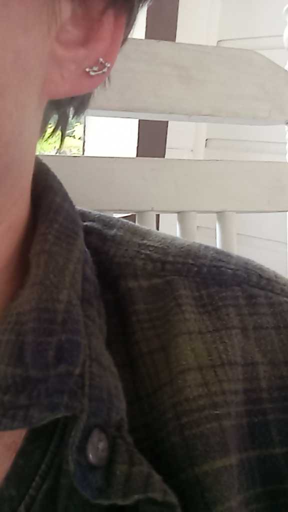 Oufer 16G Zodiac Sign Twelve Star Constellation Cartilage Lobe Earring Stud  Aries, Taurus, Gemini, Cancer, Leo, Virgo, Libra, Scorpio, Sagittarius, Capricorn, Aquarius in 316L Stainless Steel