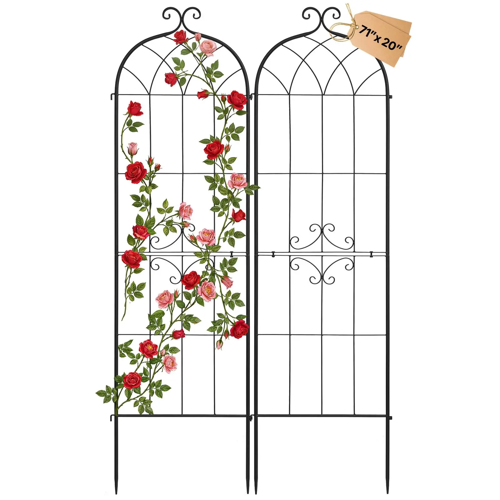 【SummerFinds】VEVOR 2-Pack Carbon Steel Garden Trellis, 71x20in Powder-Coated Trellis with Built-In Locks & Ground Stakes, Graceful Arched Design Plant Support for Balcony Flowers, Vegetables