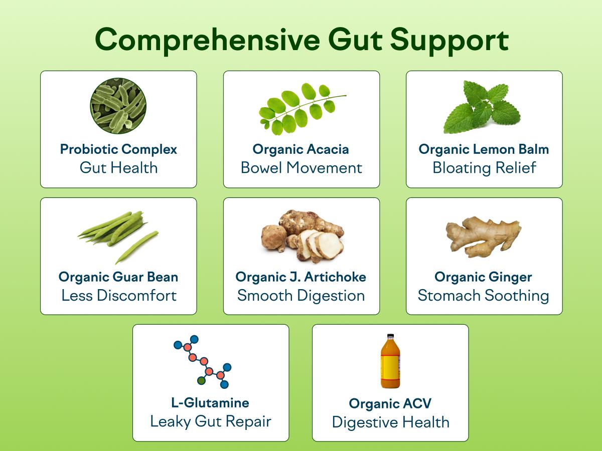 Feel Goods Gut Guardian Digestive Support Drink Mix w Pre Probiotics 4g Fiber Blend Ginger Lemon Balm L Glutamine Supports Gut Digestion Clearer Skin Reduces Bloating Puffiness Organic Fruits Zero Sugar Edible Optimum