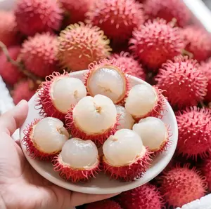 100+Rambutan Fruit Seeds – Exotic Tropical Tree Seeds, Easy to Grow, Indoor & Outdoor Planting, All Season Planting, Home Garden, Beginner Friendly