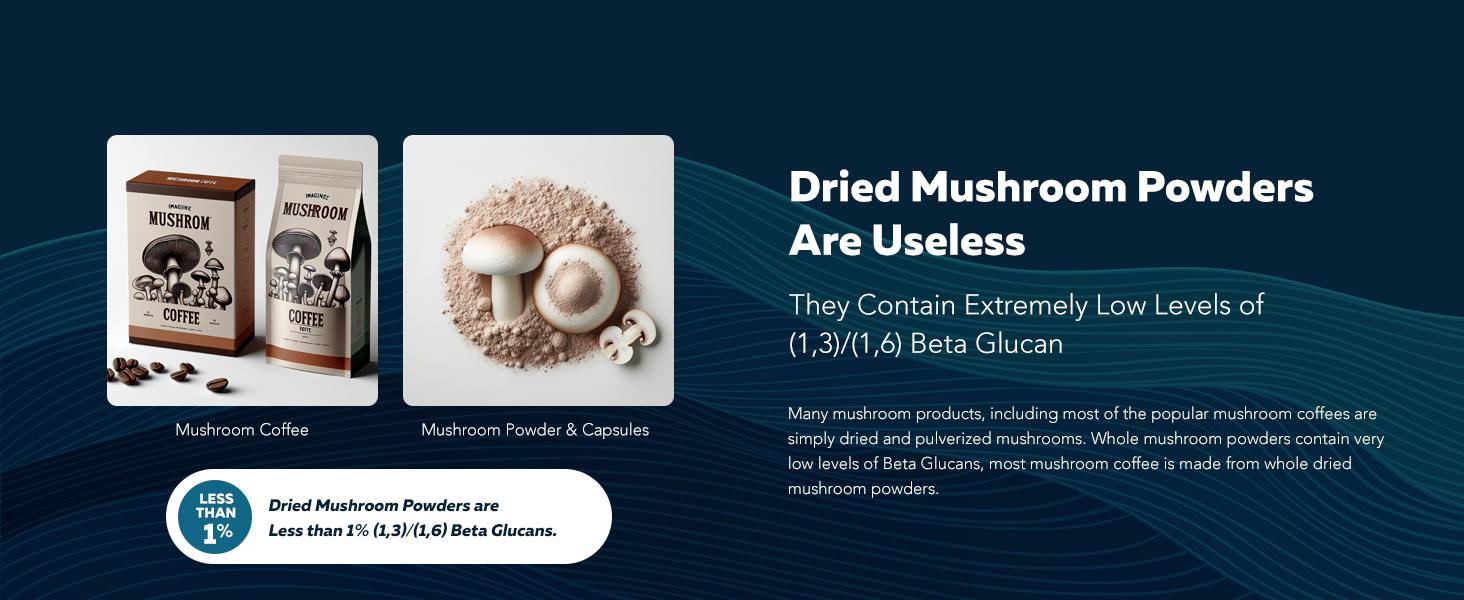 MycoMax Mushroom Complex - 70% Beta Glucans Healthcare Tea