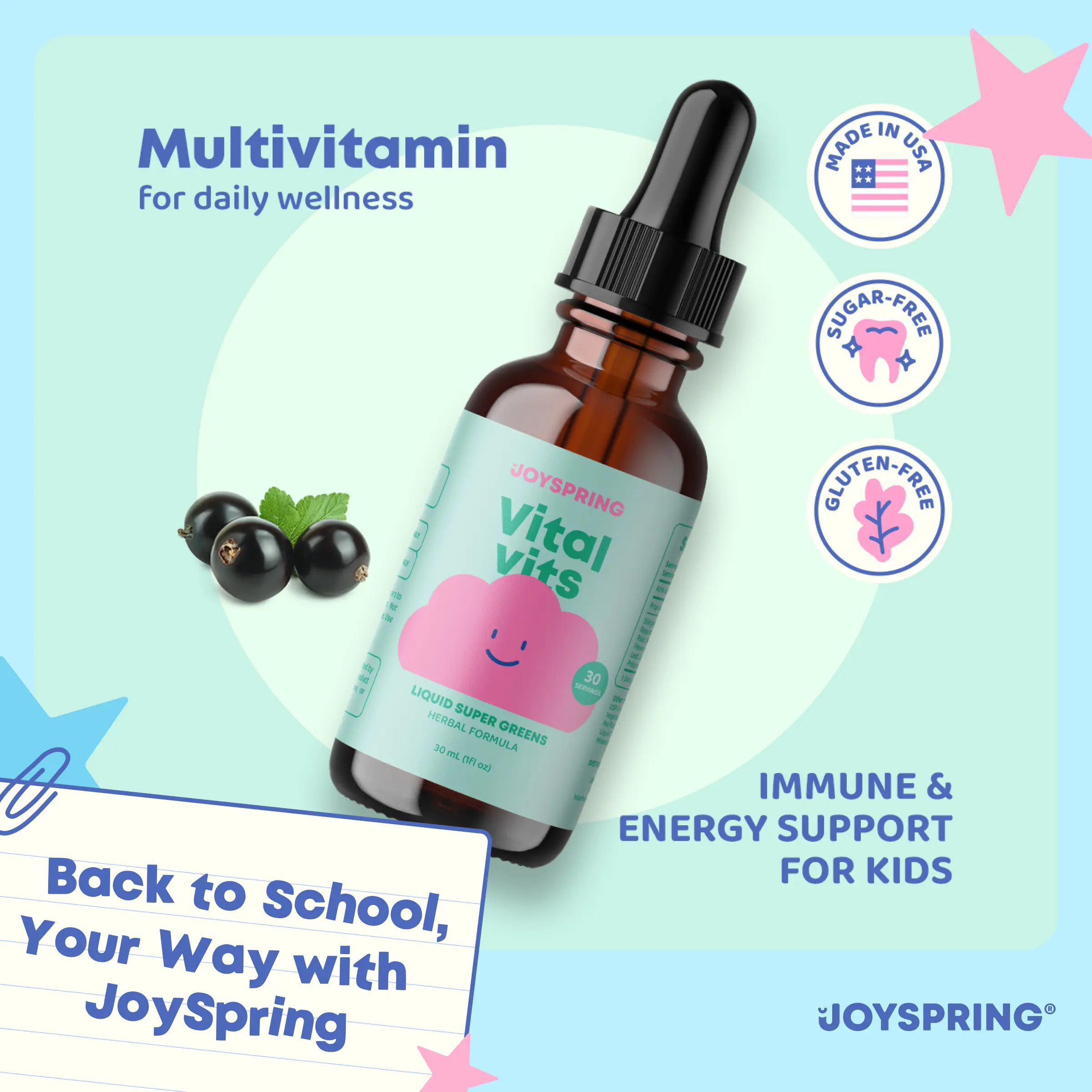 JoySpring Vital Vits – Liquid Multivitamin (1 fl oz, 30 Servings) | Herbal Liquid Vitamins | Natural Flavor with Elderberry & Spirulina Supplement