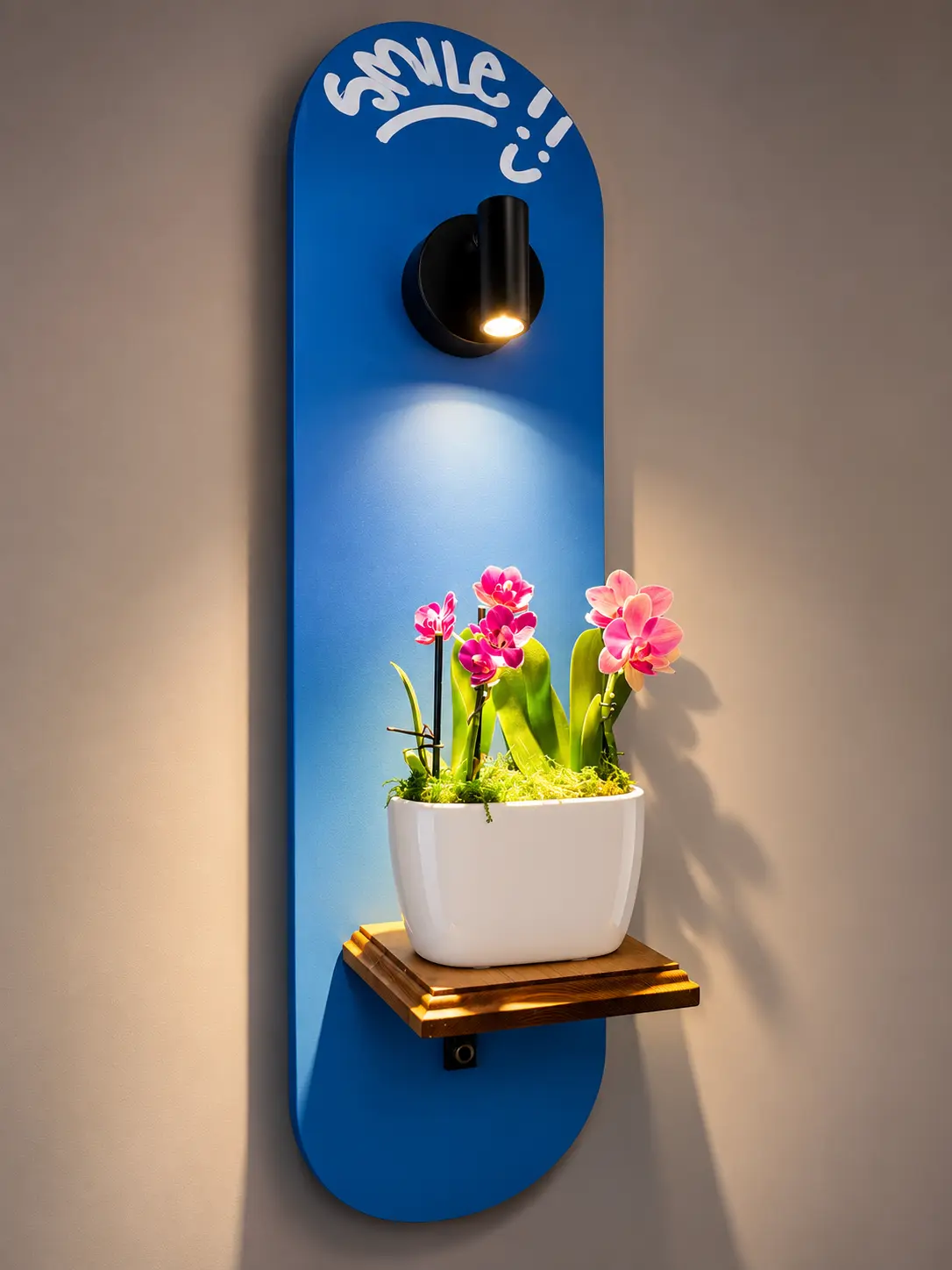 Wall-Mounted Plant Shelf from Full-Size Skateboard Deck with Stained Wooden Shelf Adjustable Black Light and Hand-Painted Smile Design