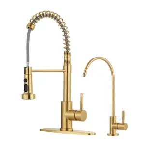 WOWOW 19 in. H Single Handle Pull Down Sprayer Kitchen Faucet with Drinking Water Faucet and 360° Swivel Spout in Gold/Black/Nickel/Chrome/ORB