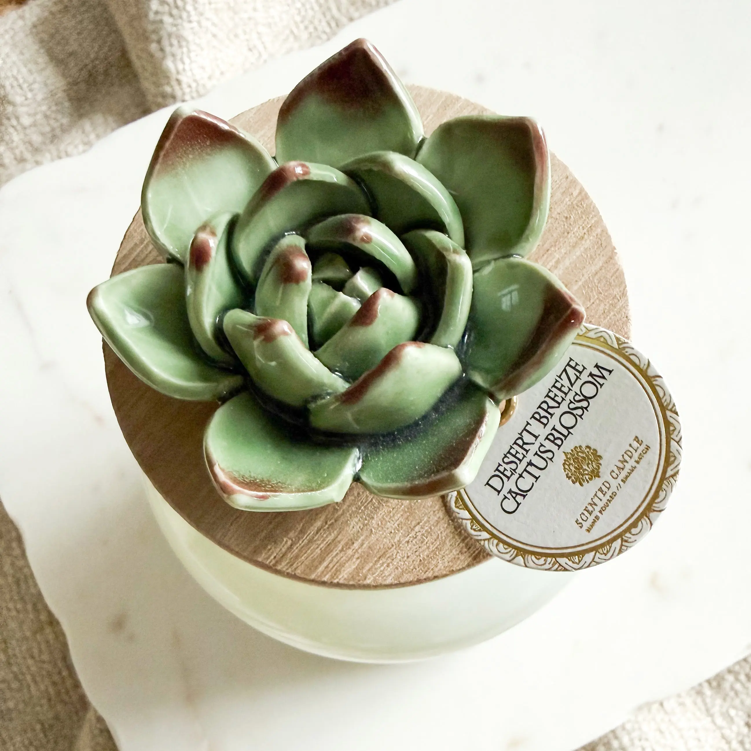 Desert Breeze Cactus Blossom Ceramic Succulent Candle