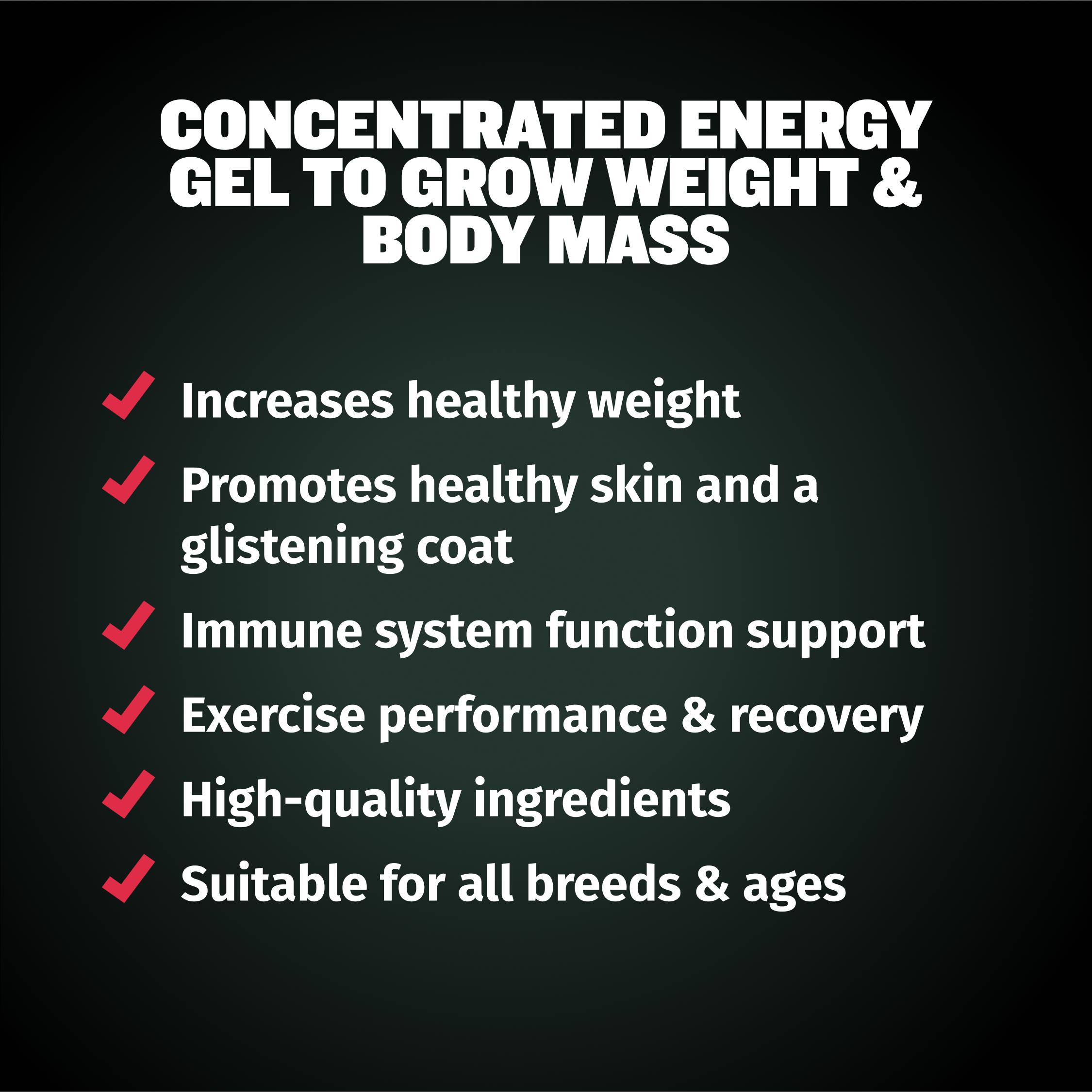 Bully Max Weight Gainer Liquid for Puppies & Adult Dogs | 2-in-1 High Calorie Multivitamin Dog Supplement - 16 oz Bag