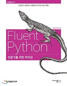 USED-Python for Professionals (Korean Edition) (Paperback)