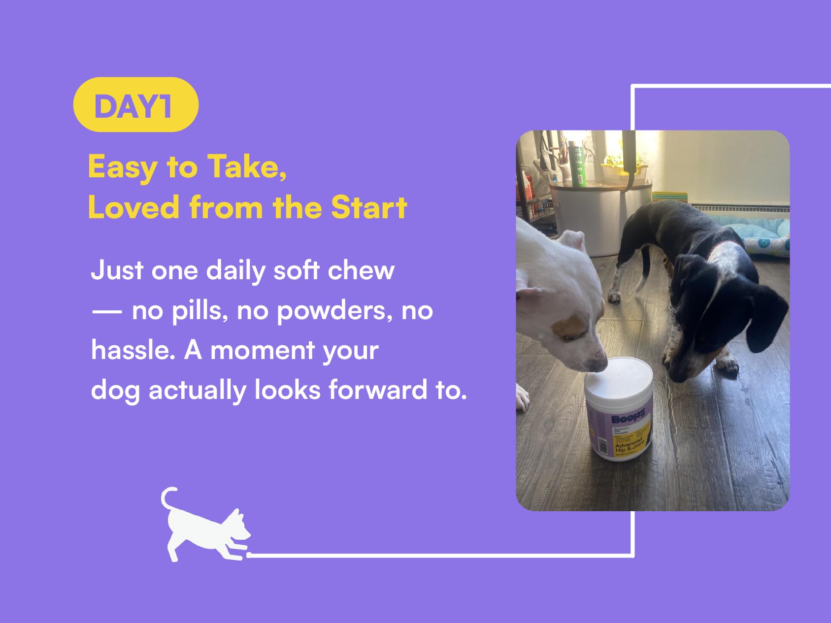 Boops Pets Advanced Hip & Joint Soft Chews - 90 soft chews - Glucosamine, MSM, Chondroitin, Green Lipped Mussel, Hyaluronic Acid - Made in the USA with Real Pasture-Raised Chicken and Real Wholefood Ingredients