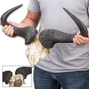 Faux Wildebeest Horns on Mount