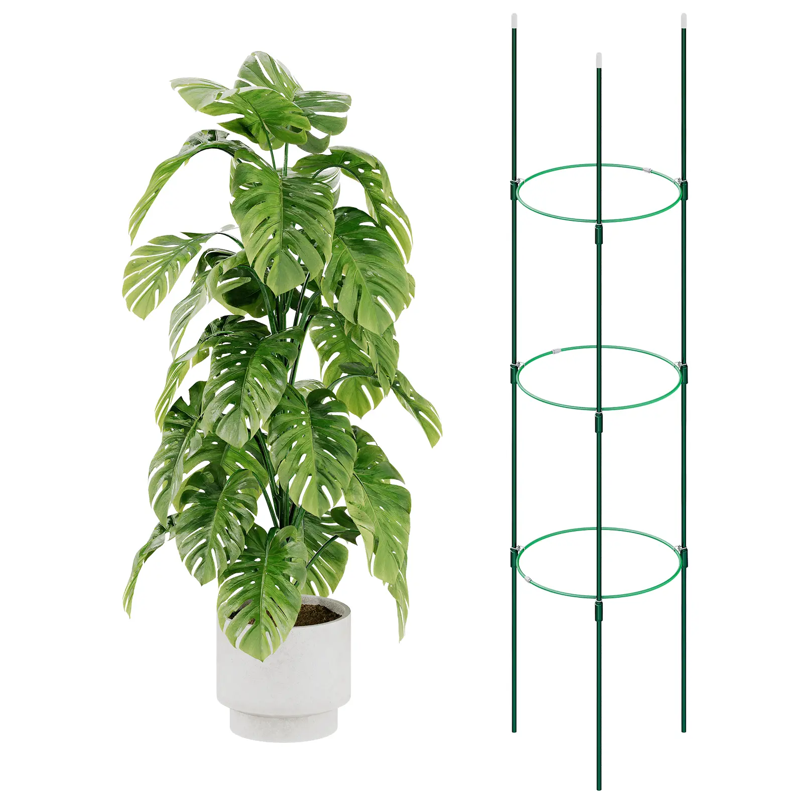 Bamworld Tall Extendable Garden Trellis Tomato Cage - Reinforced Steel Support, 120cm/47.2in Height, Deep Ground Stability, Tool-Free Setup, Extendable Handle Plant Care & Support, Grow-At-Home Climbing Vegetable Plant Aid, Grow-At-Home Plant Care & Suppo