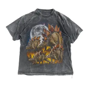 Stegosaurus Dinosaur Vintage 90s Style Graphic Shirt, Dinosaur Graphic Y2k Grunge Washed Tee, Jurassic Aesthetic Streetwear