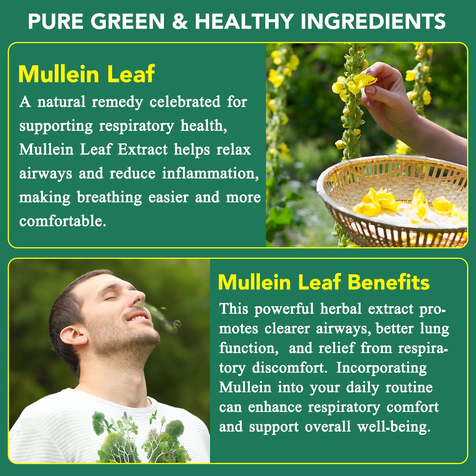 Mullein Gummies for Lungs, Edible Fitness Dietary Gummy, 1000mg Mullein Leaf Extract, mullein lung detox,Pear Flavor Gummies Supplement Healthcare Healthy Companion