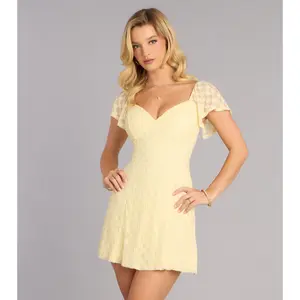 Soft Girl Season Lace A-Line Mini Dress