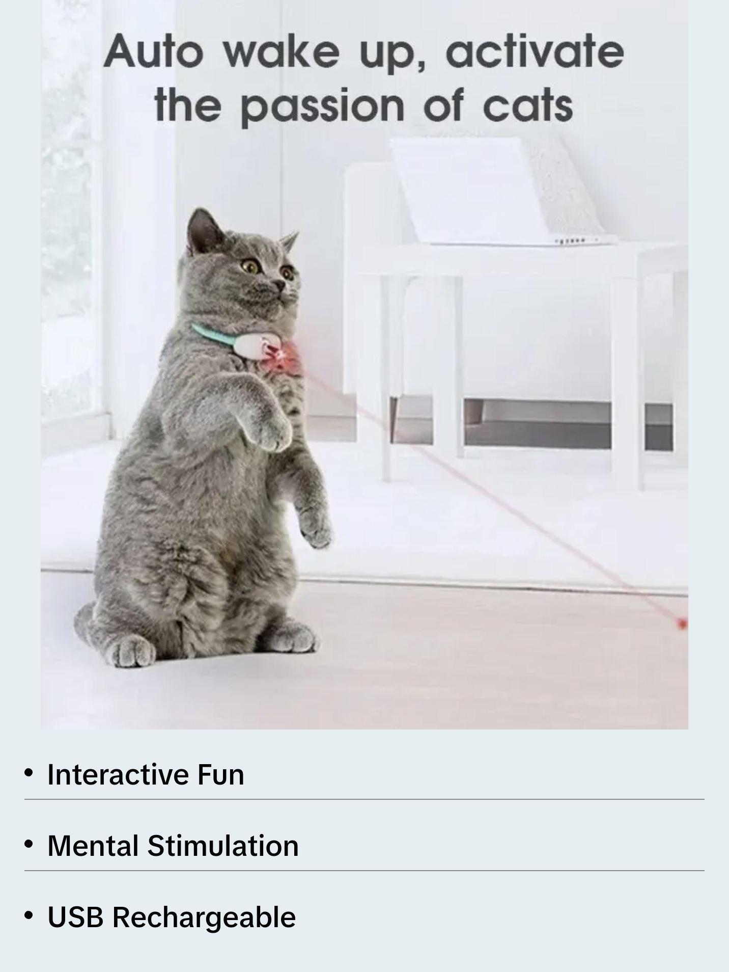 PetUp Smart USB Charging Laser Tease Cat Collar