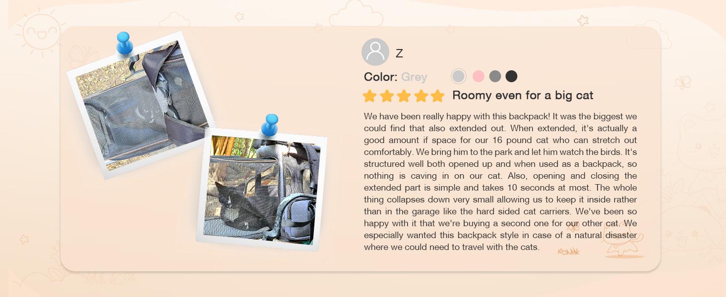 Cat Backpack Expandable Pet Carrier Backpack for Small Cats and Dogs, Airline-Approved Foldable Dog Carrier Backpack with Inner Safety Leash, Grey