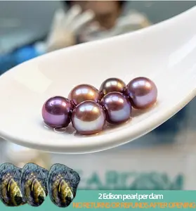 【Andrew】Mulberry Double Edisons (2 Deep Color Pearls 7-10mm in 1 Clam)｜Live Opening 2 Edison pearl per clam Non-Refundable NO RETURNS OR REFUNDS AFTER