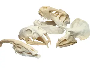 3D Printed Dinosaur Skulls T-Rex, Triceratops, Smilodon, Parasaurolophus | Realistic Fossil Replicas for Collectors