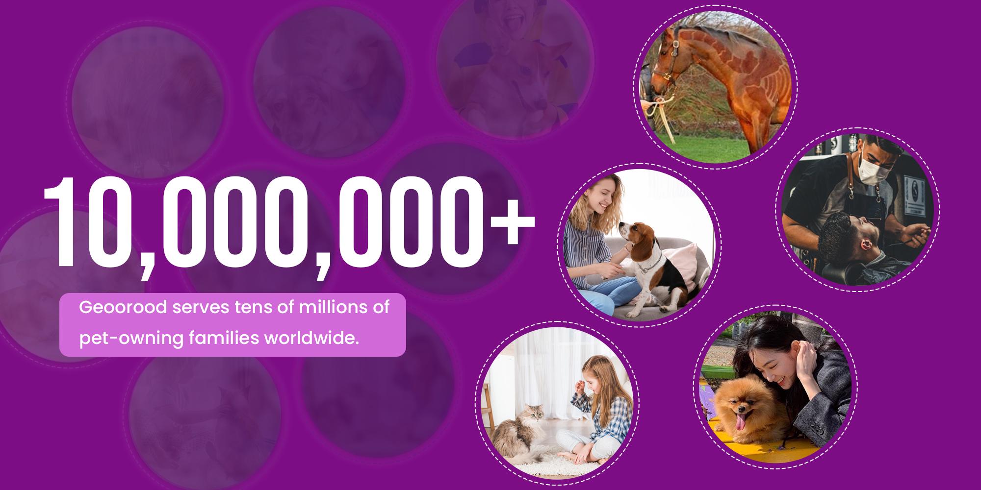 【Geoorood】 Geoorood Dog Grooming All-in-One Kit with Vacuum Brush 2.5L Large Pog, Stainless Steel Blades Lightweight Design 13KPa Suction Force Portable Cleaning Set #February Stock Up 【Geoorood】 Geoorood Dog Grooming All-in-One Kit with Vacuum Brush 2.5L Large Pog, Stainless Steel Blades Lightweight Design 13KPa Suction Force Portable Cleaning Set #February Stock Up