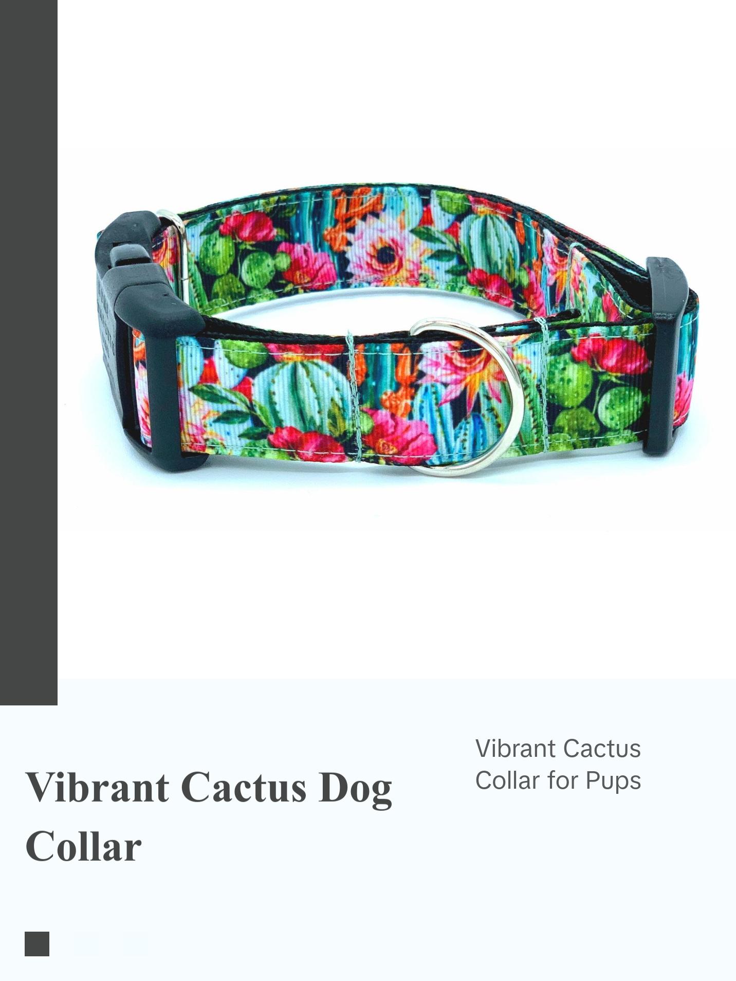 Colorful Cactus Saguaro Dog Collar - Perfect for Your Pet
