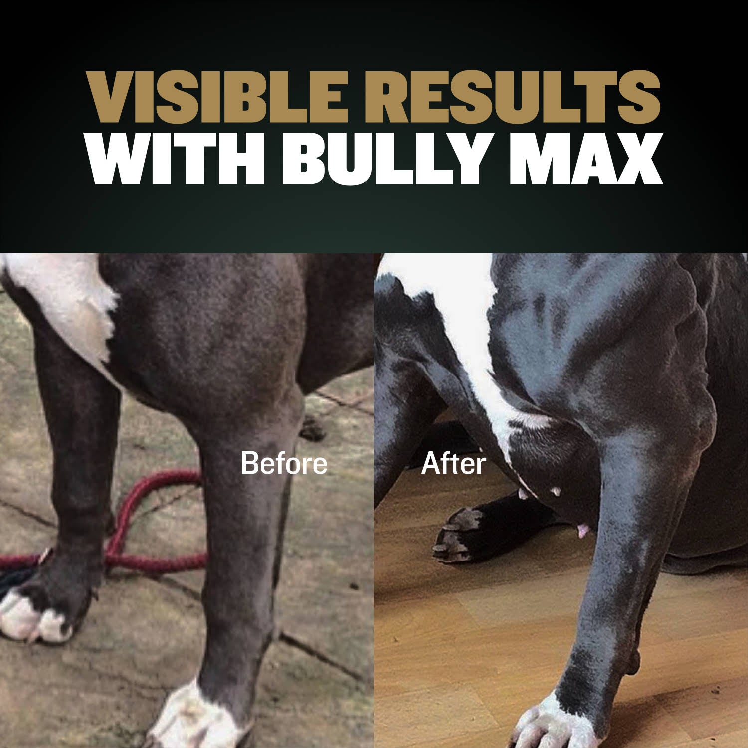 Bully Max Pro 11-in-1 Muscle Gain Power Chews - 75 Chews