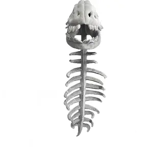 Dinosaur Skeleton Costume – 3D Spinosaurus Skull Mask & Plush Spine for Party Theme Park Amusement Park &Festival, Cosplay & Dress-Up Play