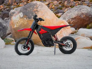 （Free Gift– While Supplies Last）Yozma IN 10 Electric Bike 2600W Power 48V 23.4Ah Lithium-ion Battery 53 Miles Rang For Teens & Adults e bike