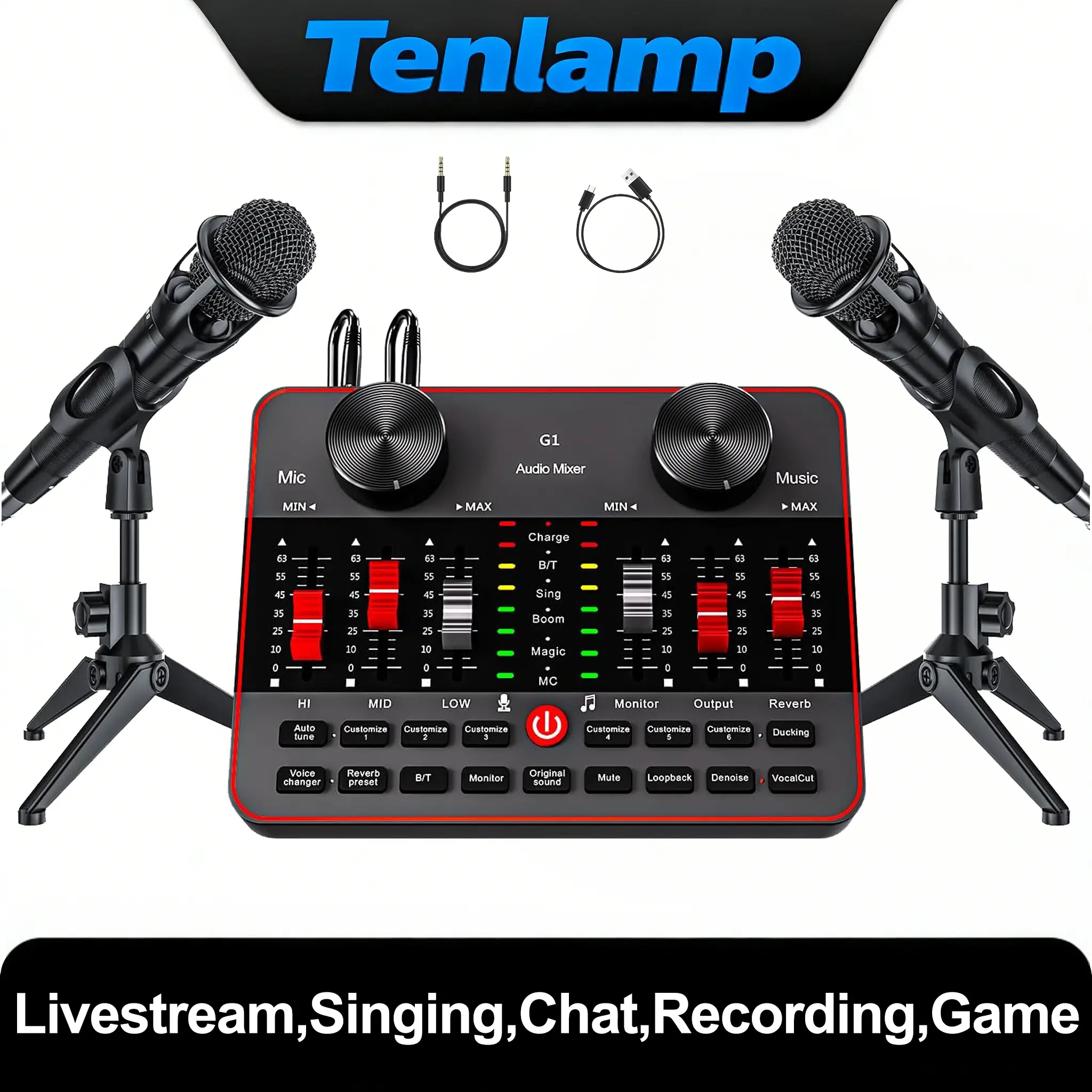 Tenlamp G1-E300 Podcast Equipment Kit - Condenser Mic Set with 2 Wired Microphones, Professional USB Audio Mixer (Built-in DSP), Portable Soundboard, Audio Converter for Live Performances, Studio Gear